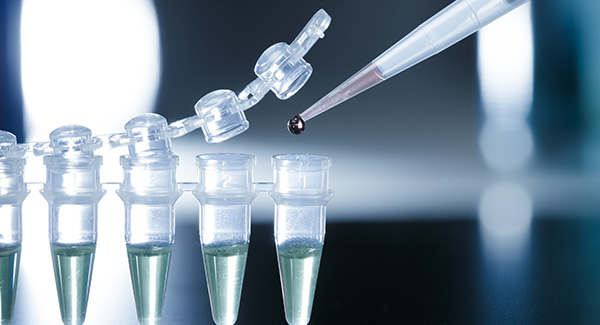 Stem Cell research in a PCR strip